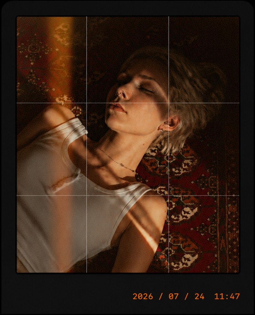 Vintage Camera sample frame